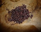 ショコラトル（チョコレートの祖先）作り方5写真