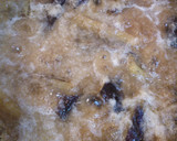 ♪焼きナスのみぞれ煮♪作り方5写真