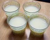 さくさくぱんだdeまん丸ぱんだゼリー作り方3写真