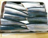 さんまのしょうが煮～圧力鍋～作り方1写真