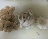俺流!たっぷりキノコとサーモンのグラタン作り方4写真