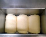 シンプル食パン♪（超我流な捏ね方付き♡）作り方20写真