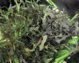サラダからし菜のパスタ作り方8写真
