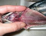 骨嫌いさん必見、秋刀魚のおいしい食べ方作り方3写真