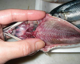 骨嫌いさん必見、秋刀魚のおいしい食べ方作り方3写真