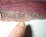 骨嫌いさん必見、秋刀魚のおいしい食べ方作り方13写真