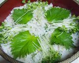 香るカツオ寿司作り方3写真