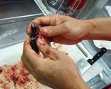 簡単マグロ漁師さん絶品サンマ塩なます作り方4写真