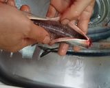 簡単マグロ漁師さん絶品サンマ塩なます作り方8写真
