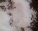 大納言あずきで作る、美味しい粒あん。作り方7写真