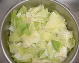 白菜キムチの浅漬け風作り方1写真