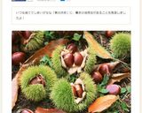 栗の渋皮コーヒー作り方7写真