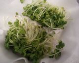 カイワレで簡単美味しい大根葉ご飯作り方1写真