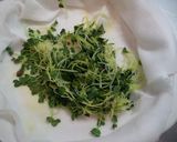 カイワレで簡単美味しい大根葉ご飯作り方4写真