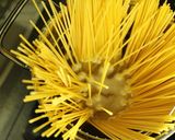 ニンニクたっぷり紅参オリエンタルパスタ！作り方1写真