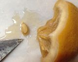 ★農園発★レモンソルト作り方6写真