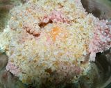 三色野菜入りきのこハンバーグ作り方2写真