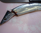 初心者向き♪さんまの三枚おろし作り方1写真