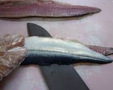 初心者向き♪さんまの三枚おろし作り方4写真