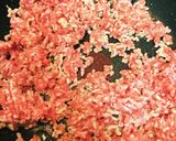 ナスとほうれん草のミートソースパスタ作り方1写真