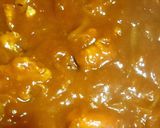 野菜ジュースでカレー作り方7写真