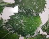 大葉で◎自家製青じそふりかけ作り方3写真