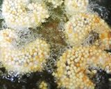 海老のあられ揚げ*黒胡麻味噌作り方8写真