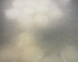 白玉だんごの作り方作り方3写真