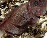 めでたい飯作り方7写真