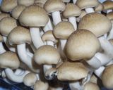 香り松茸、味しめじ！きのこの絶品すまし汁作り方1写真