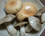 山採り・本しめじと他のキノコの煮付け作り方2写真