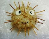 キャラ弁 いがぐりおにぎり♪作り方5写真