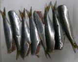 ✽骨までおいしく✨鰯の簡単やわらか梅煮作り方1写真