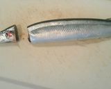 今が旨い、秋刀魚の大名卸し作り方2写真