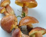 ★秋の山の薫り★落葉キノコの★簡単漬け★作り方1写真