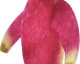 【デリジョイ】ベジタブルトイのクッキー作り方9写真