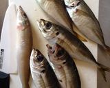 鯵の刺身＊お造り~おもてなしに作り方1写真