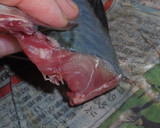 肴鯖鯵鯛鰯鮭鮪鮨！魚の三枚おろしの基本！作り方14写真