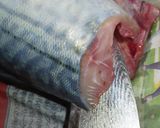 肴鯖鯵鯛鰯鮭鮪鮨！魚の三枚おろしの基本！作り方10写真