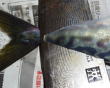 肴鯖鯵鯛鰯鮭鮪鮨！魚の三枚おろしの基本！作り方12写真