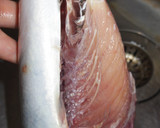 肴鯖鯵鯛鰯鮭鮪鮨！魚の三枚おろしの基本！作り方8写真