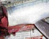 肴鯖鯵鯛鰯鮭鮪鮨！魚の三枚おろしの基本！作り方7写真