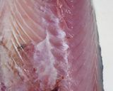 肴鯖鯵鯛鰯鮭鮪鮨！魚の三枚おろしの基本！作り方20写真