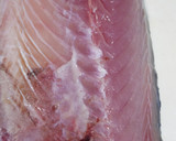 肴鯖鯵鯛鰯鮭鮪鮨！魚の三枚おろしの基本！作り方20写真