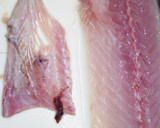 肴鯖鯵鯛鰯鮭鮪鮨！魚の三枚おろしの基本！作り方23写真
