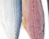 肴鯖鯵鯛鰯鮭鮪鮨！魚の三枚おろしの基本！作り方27写真