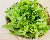 ふき味噌 優しい味付け 砂糖不使用作り方1写真