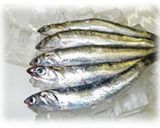 イワシ料理のいろいろ作り方4写真