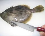 カワハギ料理のいろいろ作り方1写真