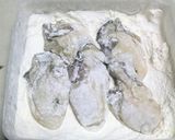 牡蠣のフリッター(ビール入り衣で♪)作り方4写真